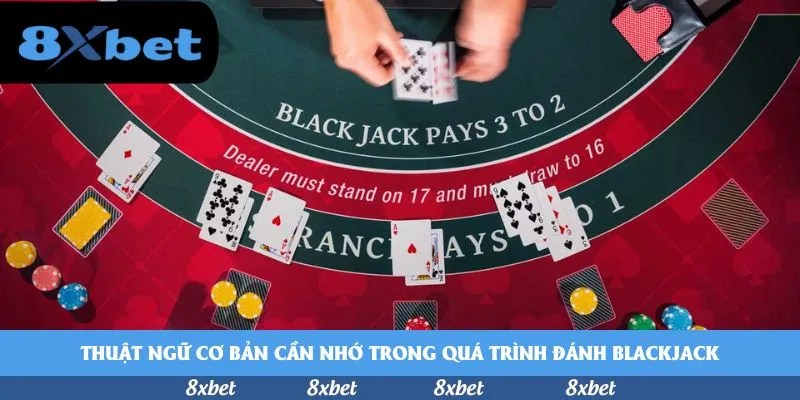 8xbet - sunwin khuyến mãi hôm nay