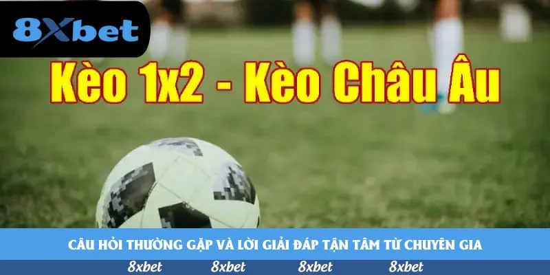 8xbet - jun88 hoàn trả