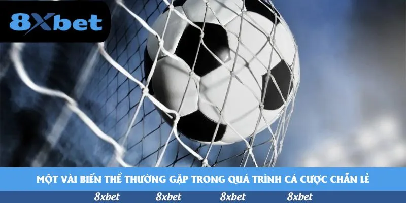 8xbet - mã khuyến mãi 8xbet