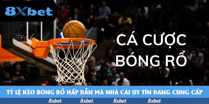 8xbet - b52 khuyến mãi hôm nay