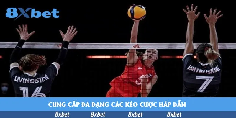 8xbet - fi88 khuyến mãi hôm nay